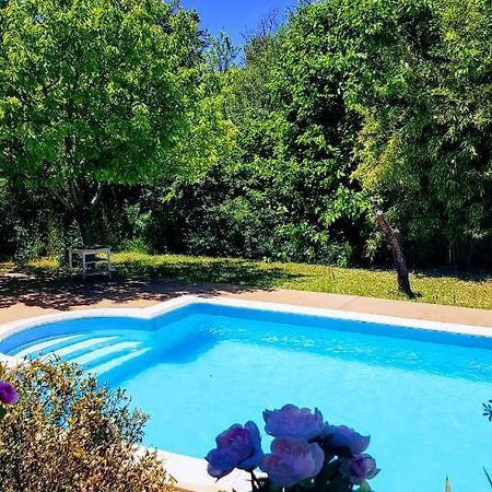 Studio Dans La Villa Les Cigales Lézignan-Corbières Εξωτερικό φωτογραφία